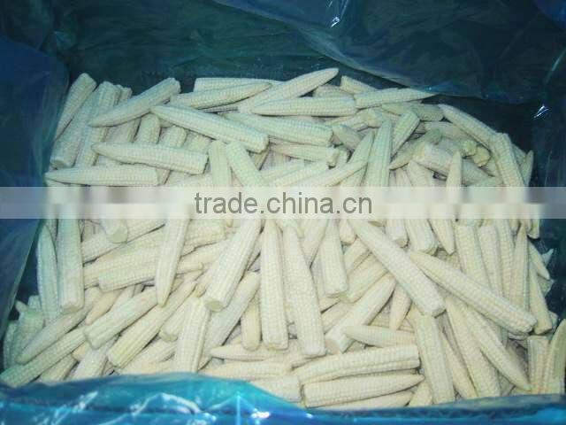 Buy IQF Baby Corn Cobs Season Vegetables