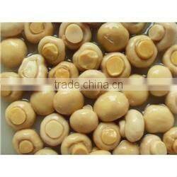 salted white button mushroom in brine