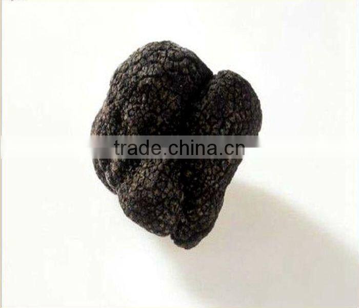 air dried boletus edulis from China