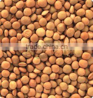 The Newest lentil Color Sorter Machine