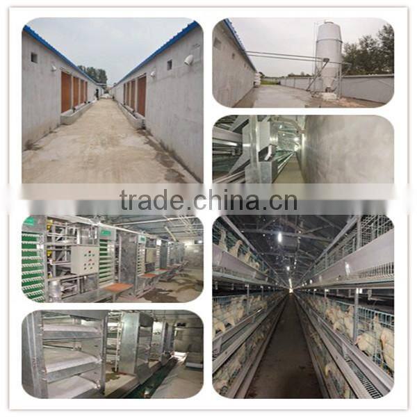 poultry farm equipment/chicken cage/quail cage