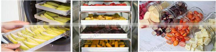 1-2kg fruit vacuum freeze drying machine