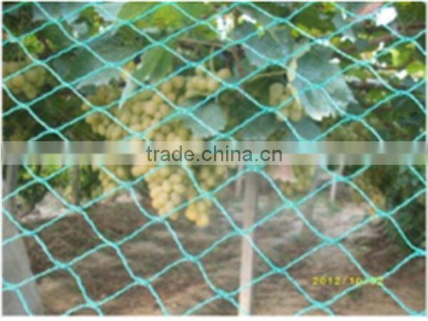 long life quality guarantee agricultural bird net