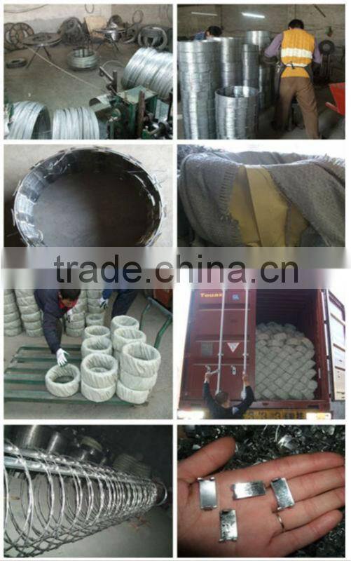 Galvanized Razor Wire
