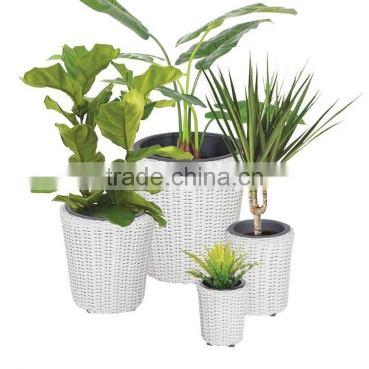 Home or office decoration square wicker planter