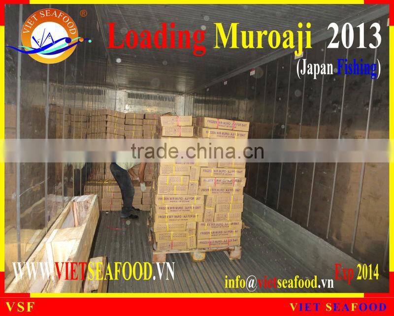 LOADING MUROAJI FOR TUNA BAIT