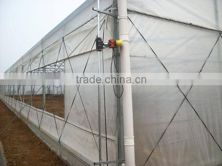 Easy assembled comericial poultry breeding greenhouse