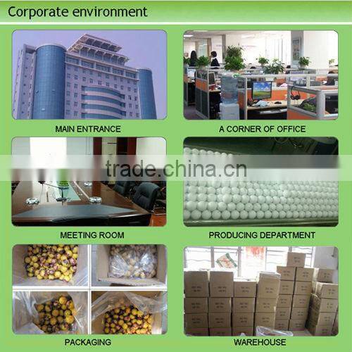 Customzed Wholesale double piece golf ball for range