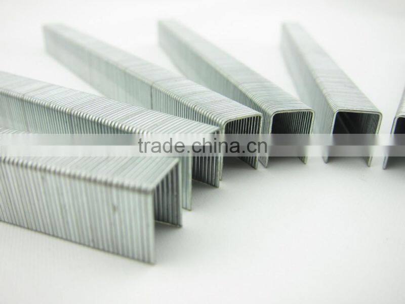 Furniture stapler pin 1007F