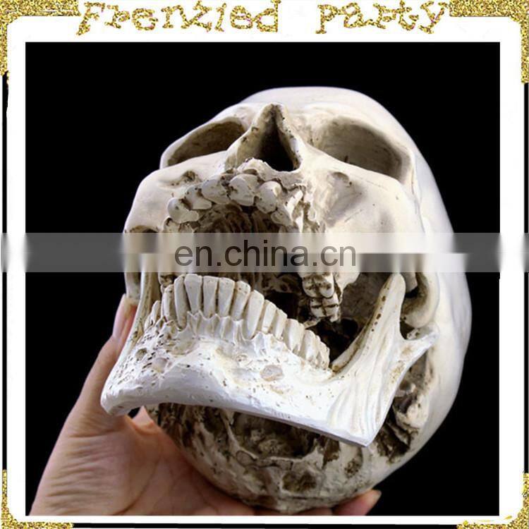 New arrival simulation halloween decorative skull FGHS-0005