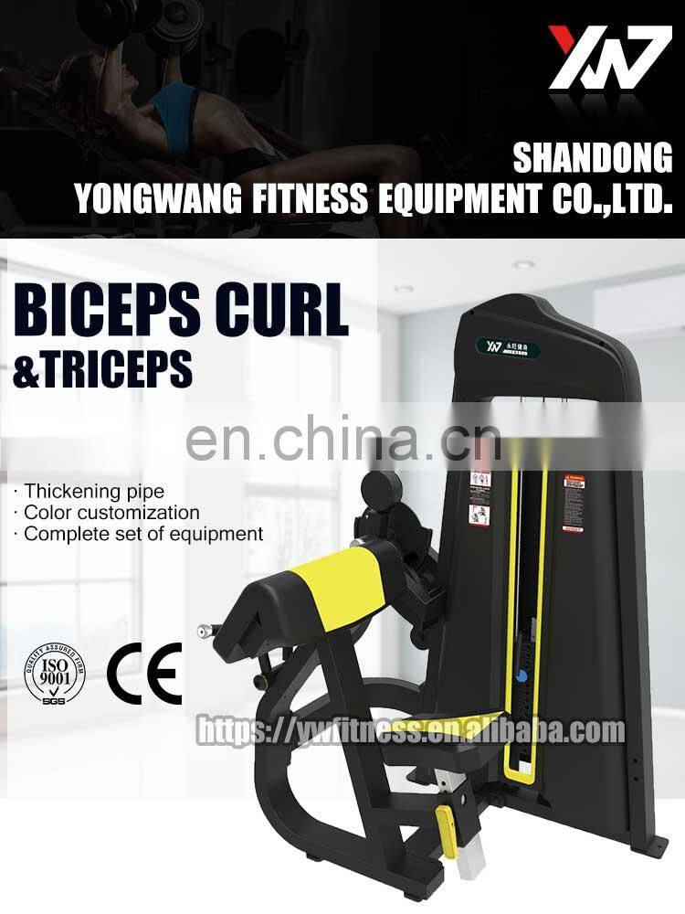 latest machine High quality professional YW-1753 training equipment biceps curl&triceps