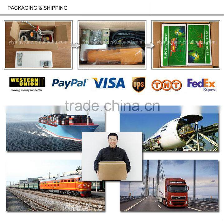wholesale alibaba 100 KG Wire Rope hoist Portable mini Electric Winch 220V