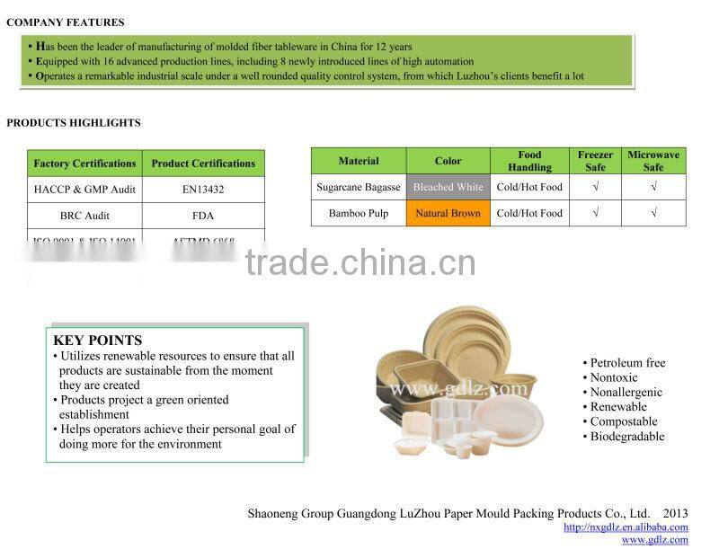 biodegradable food box