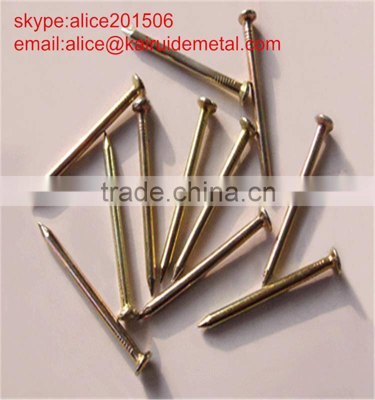 high qulaity low price stainless steelconcrete nail from concrete steell nail factory