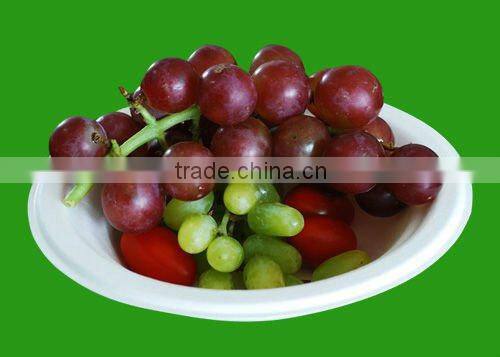 High quality cheap price of disposable paper salad bowl