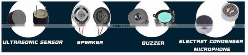 25KHZ 40KHZ toyota leus ls430