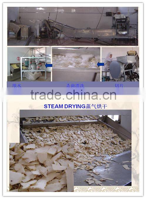 New crops white dried horseradish powder