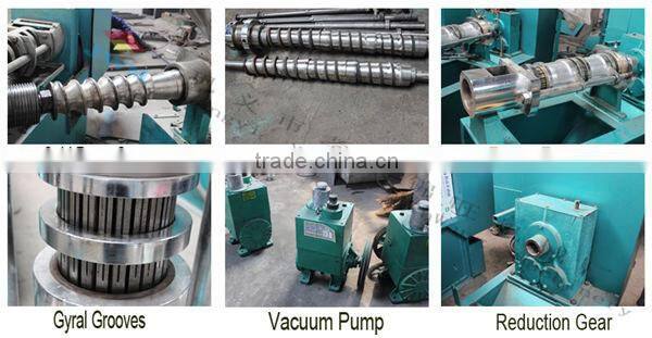 healthy oil Coconut oil Squeezing machine/Screw cold coconut oil Squeezing machine for Burma