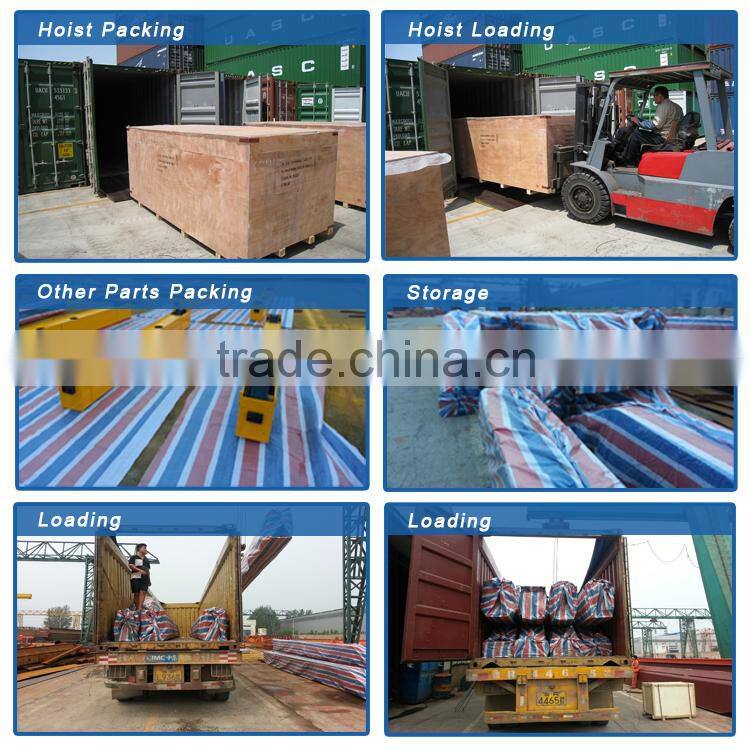 Professional Henan Mobile Container Lifting Crane