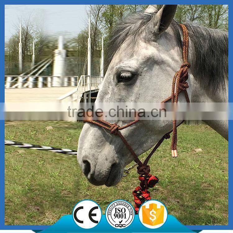 knotted glitter braid poly rope halter adjustable horse rope headcollar with lead rope with leather
