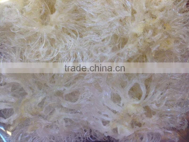 >>Vietnam quality products<< Dried fish fin