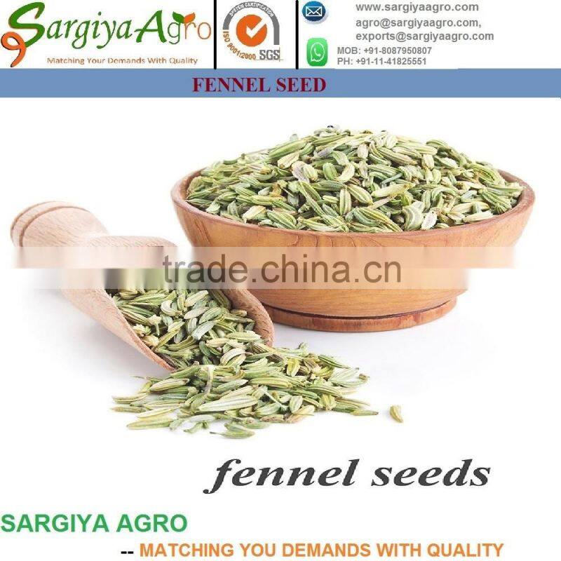 Fennel Seed