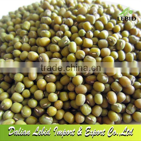 New Crop Green Mung Beans Hot Sale