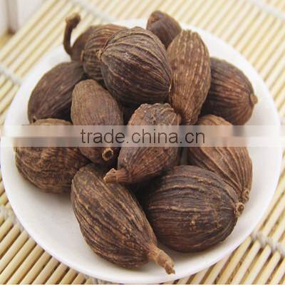 High quanlity Big Sizes Amomum