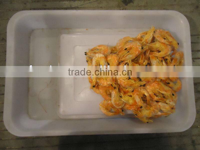 Dry Prawn Stock