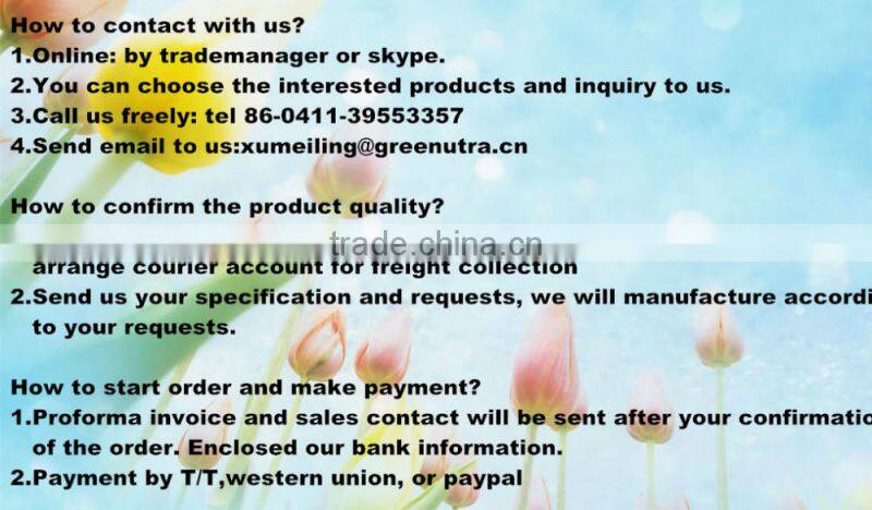 GMP manufacturer Barley Grass Powder