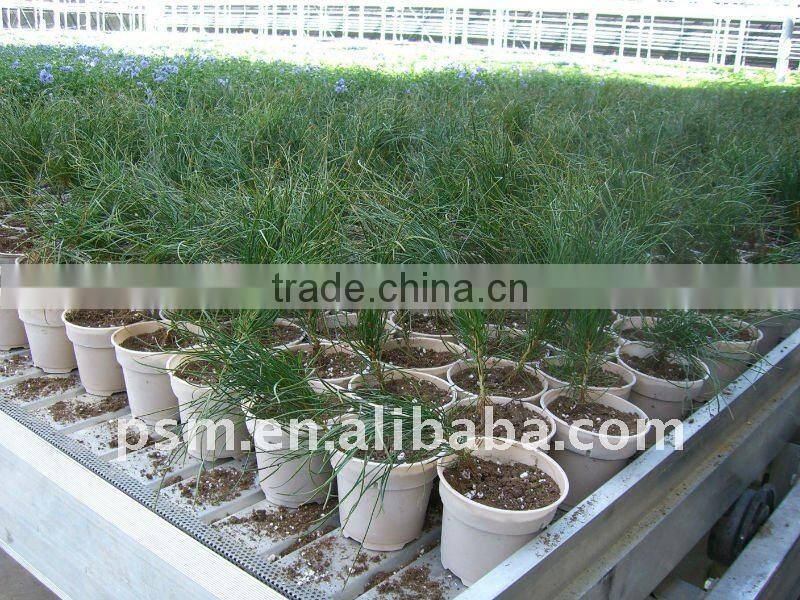 biodegradable cornstarch eco friendly nursery pots