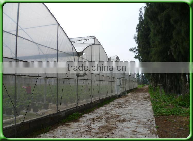 Roof ventilation/fixed window agricultural greenhouse
