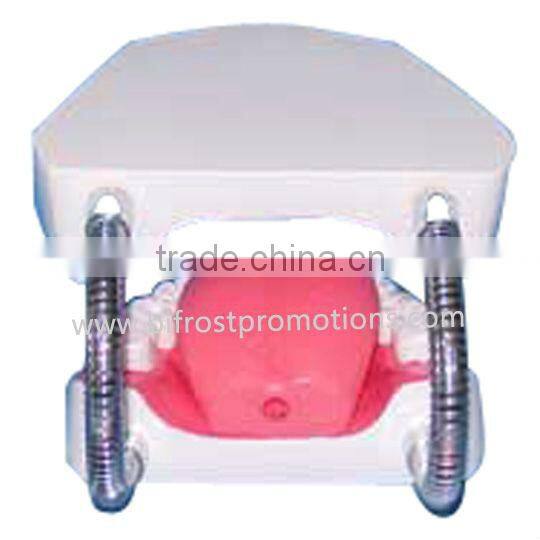 Dental Education Model