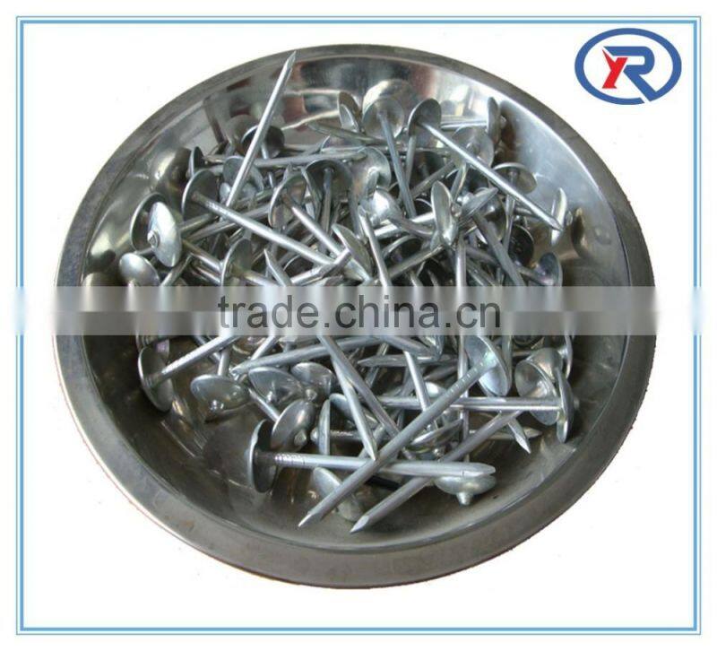 cheap price Q195 Galvanized Umbrella Head Roofing Nails With Smooth Shank