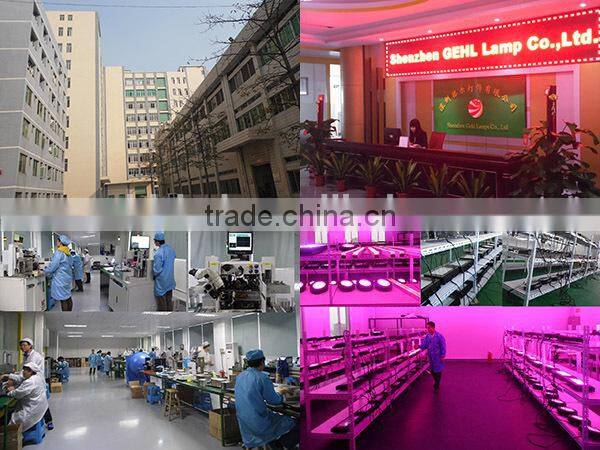 600W full spectrum two switches for veg and bloom led indoor grow light