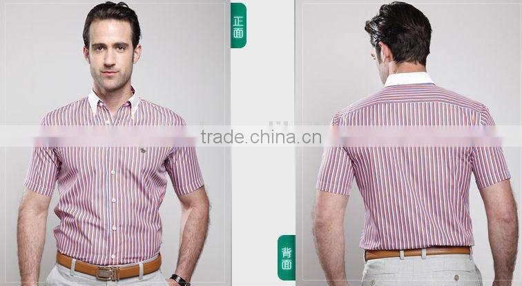 green white branded POLO stripes men dress shirts