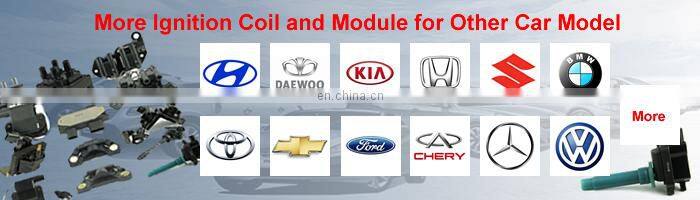 High Performance Auto Ignition Coil Ignition Module For Daewoo Cielo