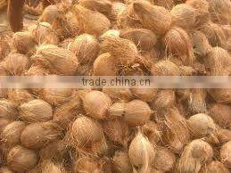 Fresh matured coconut supplier