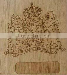 2013 Perfect Germany IPG Fiber Laser Marking Surgical Instruments