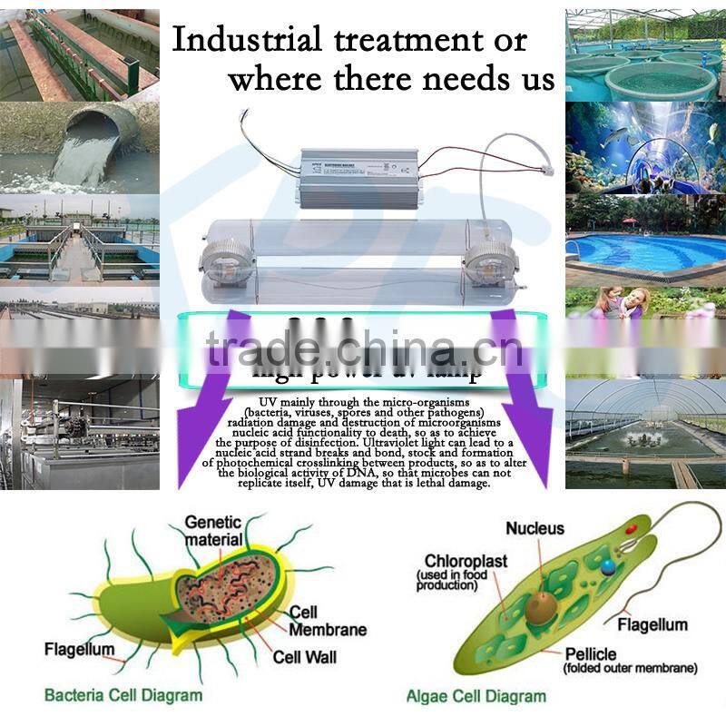 Worldwide best selling uv products 300watt ultraviolet lamp for poultry farm odor treatment