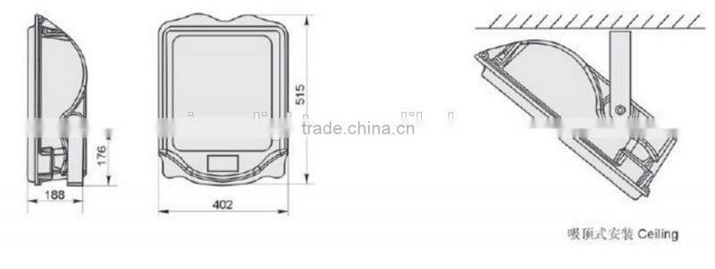New Design IP65 Meanwell Driver LED Flood Light with bridgelux chip