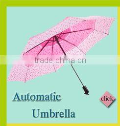 POE Automatic child umbrella,animal cat umbrella,lovely cat umbrella