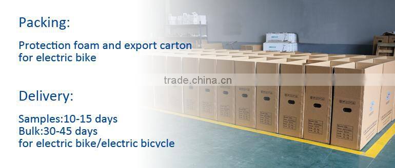 good quality electric mountain bike for sports