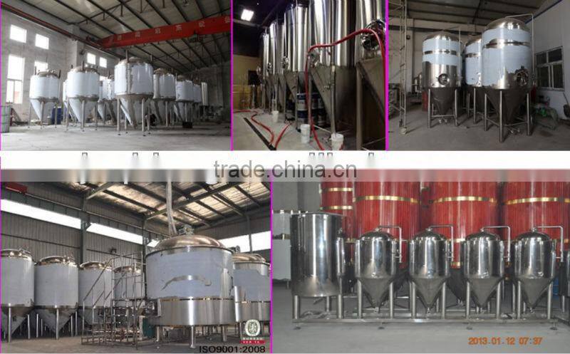 10BBL Stainless steel conical fermenter