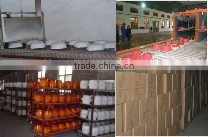 cast iron steak dish