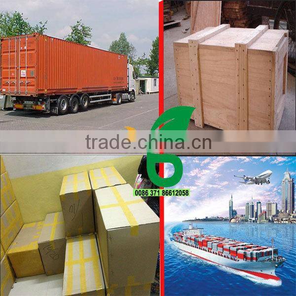 durable automatic feeder for chicken