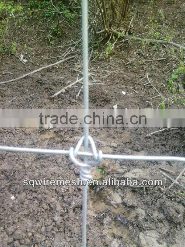 Anping Factory Field Fence