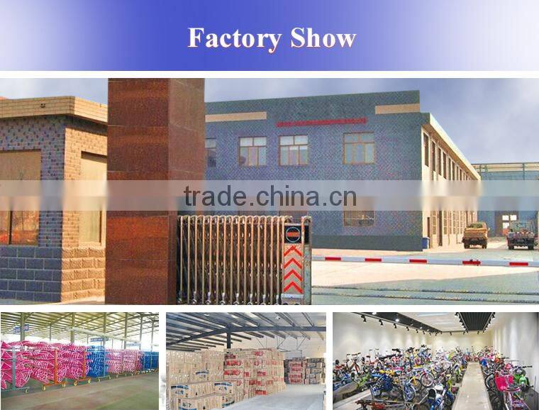 steel bicycle for girls