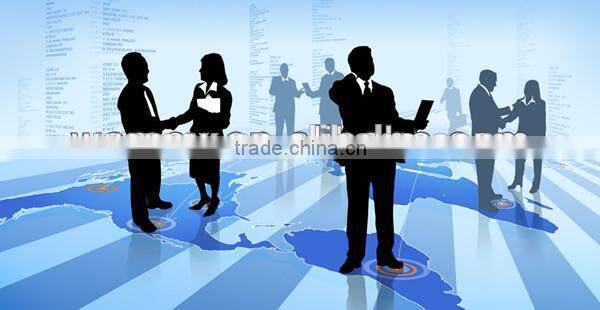 Custom One Piece Sexy Japanese Anime Figures Dragon Ball