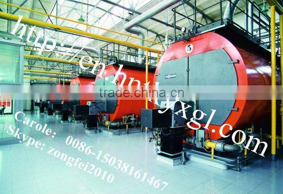hot sale all over the world CWNS series natural gas water boiler